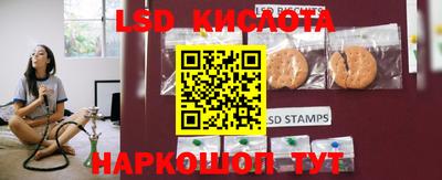 ПСИЛОЦИБИНОВЫЕ ГРИБЫ Аргун