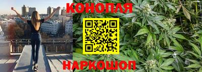 ПСИЛОЦИБИНОВЫЕ ГРИБЫ Аргун