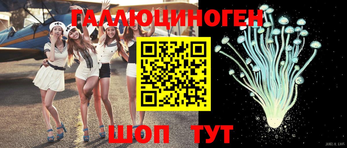 что такое   Псилоцибиновые грибы Psilocybe  Вход с VPN  Бор  Галлюциногенные грибы MAGIC MUSHROOMS 